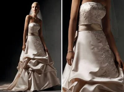 Today Only Oleg Cassini Champagne Strapless